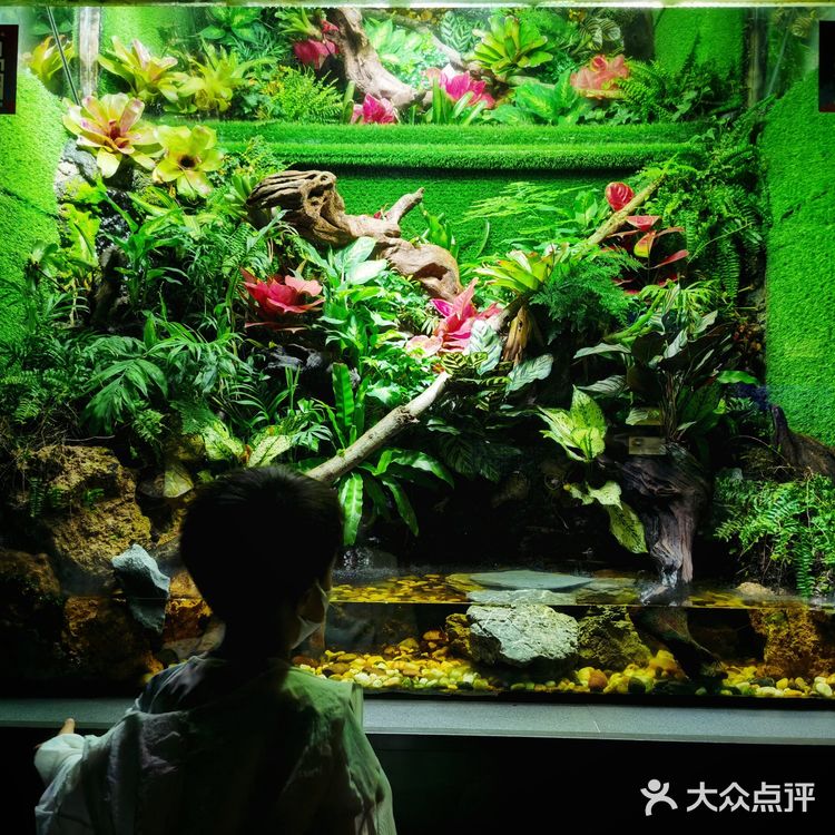 魔都探店：午后的上海海洋水族馆很好逛