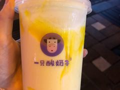 -一只酸奶牛(八一路店)