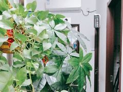 -梨园照相馆·签证照·身份证护照回执采集拍摄网点(北京店)