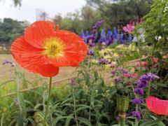 -人民公园(罗湖区)