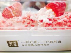 -奈雪的茶(市百一店)