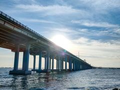 -宝安西湾红树林湿地公园