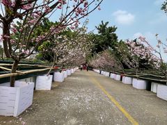 -观澜湖生态运动公社