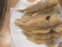-鸽子刘铁锅炖鱼(劲松店)