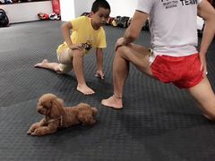 -FIGHTMAN格斗俱乐部(长宁临空店)