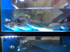 -西秀印象(东郡一品店)