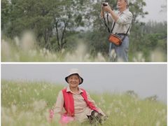 -白鹭湾湿地公园