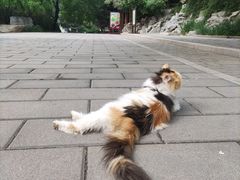 -香山公园