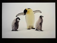 -罗红摄影艺术馆