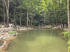 -牛背梁国家森林公园