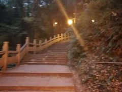 -普陀山慧济禅寺