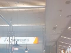 -探炉·香辣豆花烤鱼(笋岗宝能环球汇店)