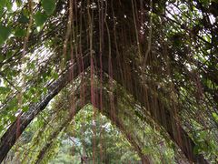 -清迈夜间动物园