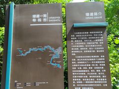 -重庆彩云湖湿地公园