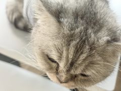 -小时光咖啡馆(北锣鼓巷店)