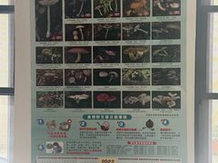 -双喜农庄·菌香园(安居家园店)