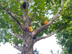 -南宫五洲植物乐园