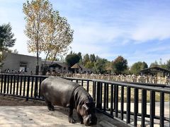 -鄂尔多斯野生动物园