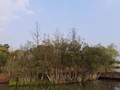 -青枫公园