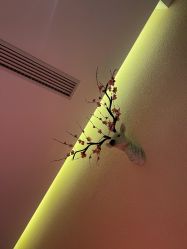 -琦品高端美容SPA会所