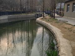 -白水寺森林公园