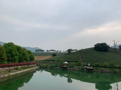 -帐篷客·溪龙茶谷度假酒店