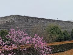 -秦始皇帝陵博物院-丽山园
