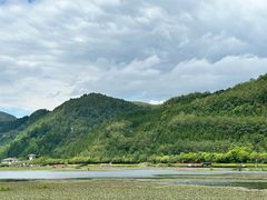-腾冲北海湿地
