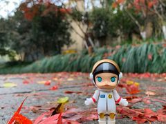 -泡泡玛特POPMART(上海环球港店)