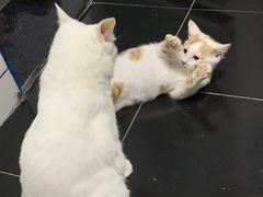 -富侨养生(康乾店)