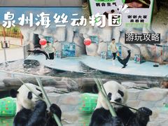 -泉州海丝野生动物世界