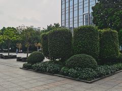 -海港城购物中心