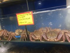 水产区-蚝专家(北滘店)