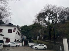 -天怡·鱼工厂(梅溪湖店)
