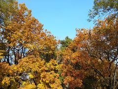 -山东师范大学(千佛山校区)