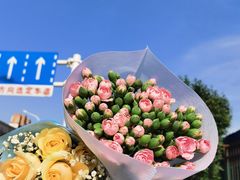 -循礼门鲜花花市(武汉循礼门店)