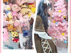 -三花喵·撸猫购宠·宠物生活馆(虹桥南丰城店)