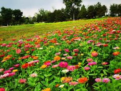 -汉长安城未央宫国家考古遗址公园