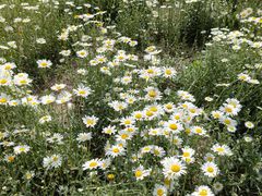 -汉长安城未央宫国家考古遗址公园