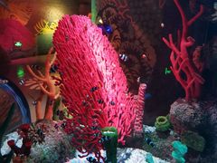 -沈阳海洋探索中心