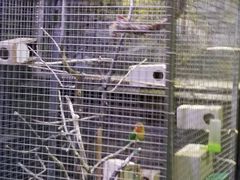 -向阳庄烧烤店(望京西园店)