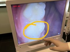 -百合口腔(朝阳门诊部)