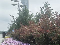 -真食净香居·内蒙烧麦(亚运村店)