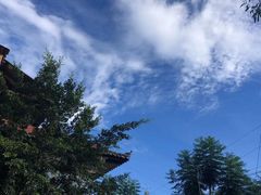 -夏雨路轩特色餐厅·十年经营