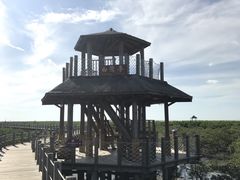 -北海金海湾红树林生态旅游区