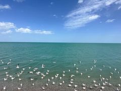 -青海湖国家重点风景名胜区