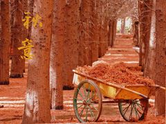 -捞渔河湿地公园