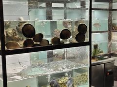 -甄御•海鲜新青岛菜(麦岛店)