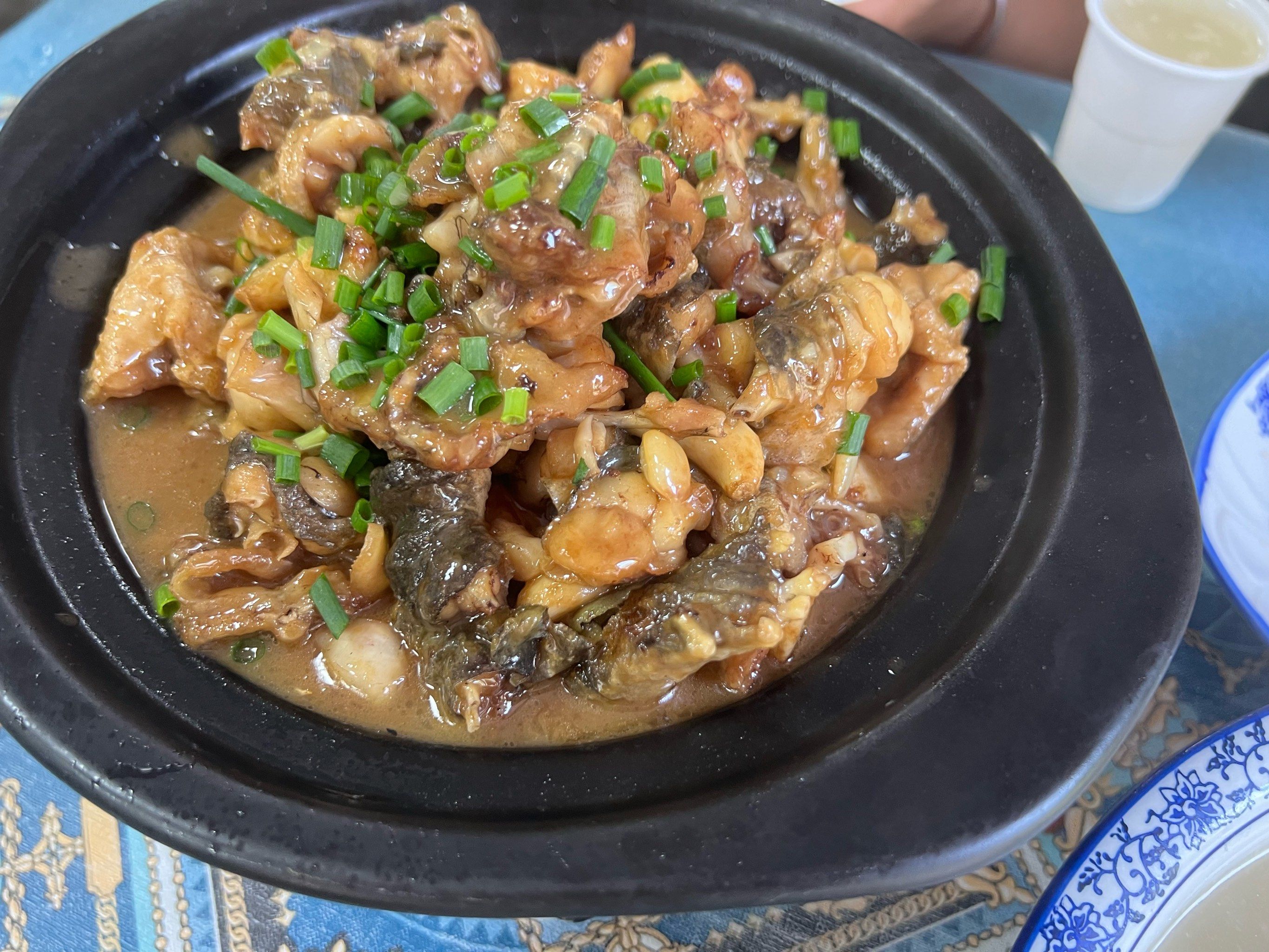 寻味之旅吃石鸡