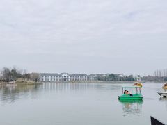 -上海长兴岛郊野公园